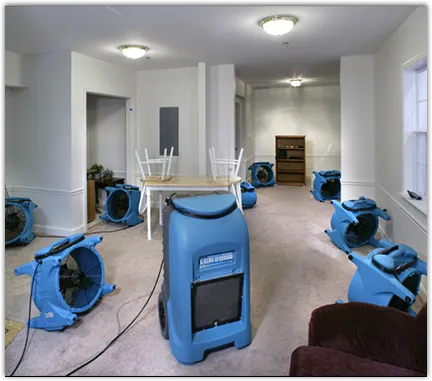 Water Mitigation Services in Dallas, GA